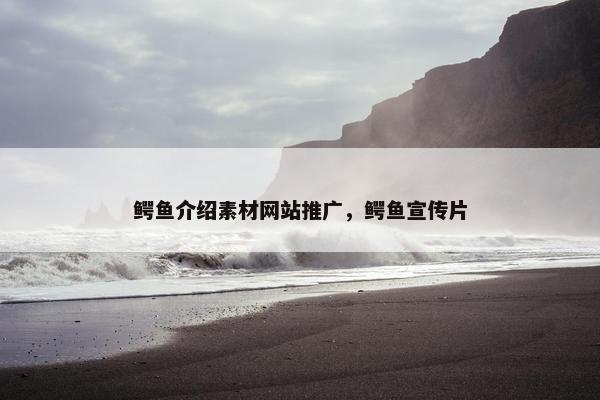 鳄鱼介绍素材网站推广，鳄鱼宣传片