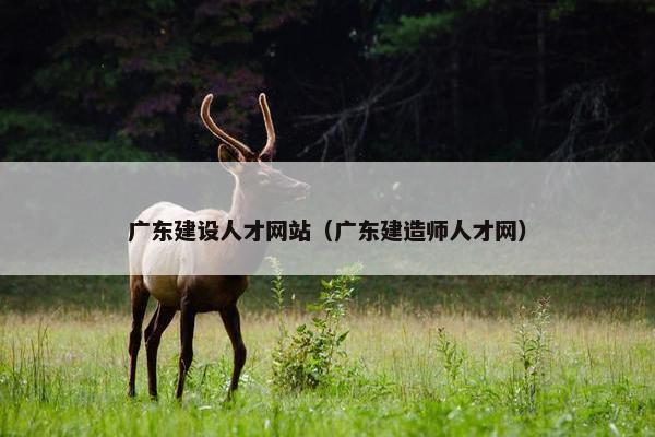 广东建设人才网站（广东建造师人才网）