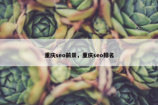 重庆seo前景，重庆seo排名
