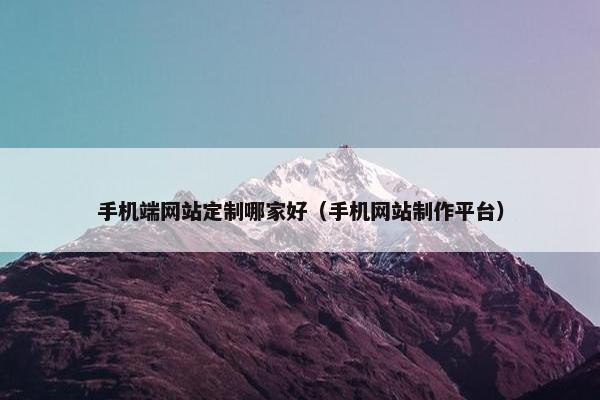 手机端网站定制哪家好（手机网站制作平台）