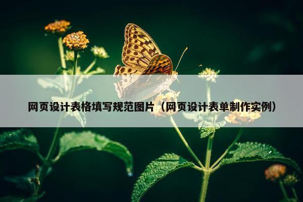 网页设计表格填写规范图片（网页设计表单制作实例）