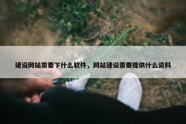 建设网站需要下什么软件，网站建设需要提供什么资料
