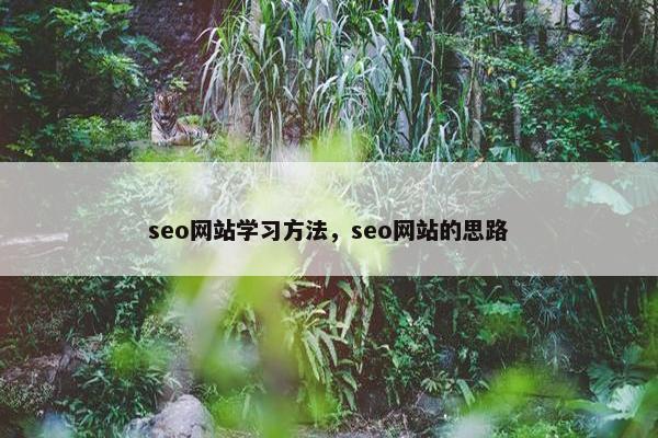 seo网站学习方法，seo网站的思路
