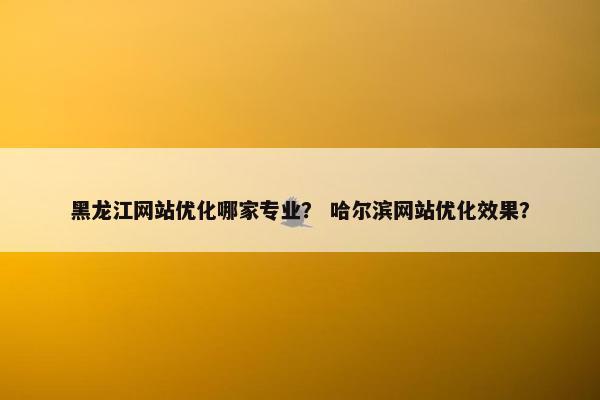 黑龙江网站优化哪家专业？ 哈尔滨网站优化效果？