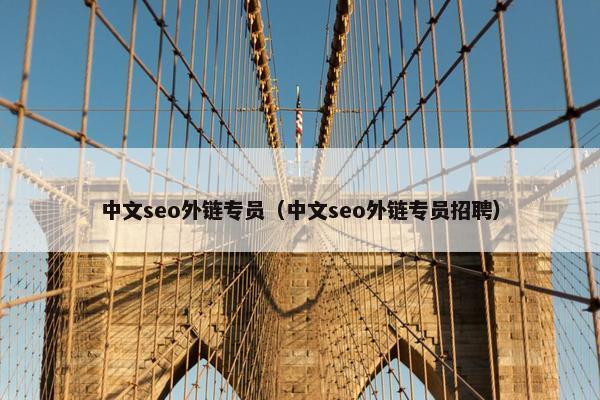 中文seo外链专员（中文seo外链专员招聘）