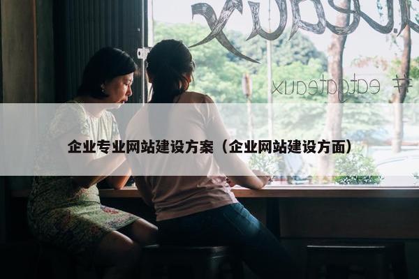 企业专业网站建设方案（企业网站建设方面）