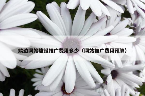 靖边网站建设推广费用多少（网站推广费用预算）
