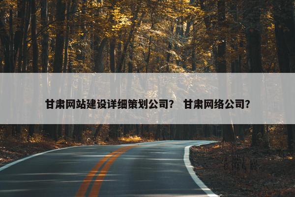 甘肃网站建设详细策划公司？ 甘肃网络公司？