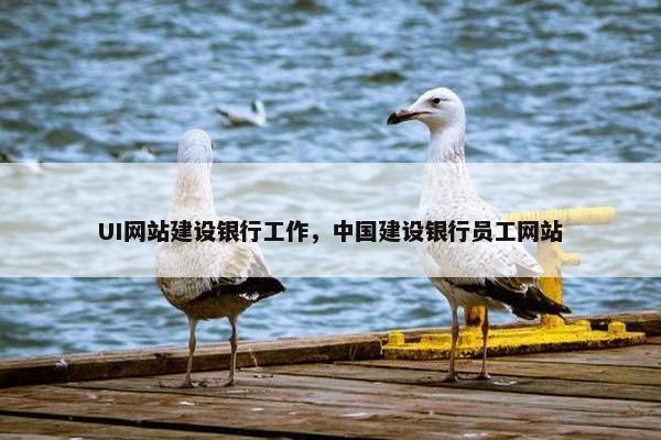 UI网站建设银行工作，中国建设银行员工网站