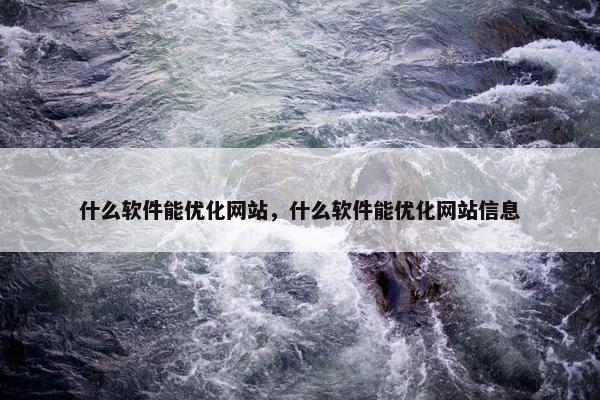 什么软件能优化网站，什么软件能优化网站信息