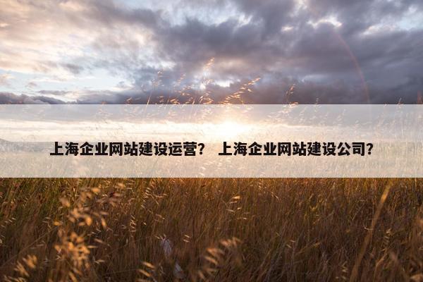 上海企业网站建设运营？ 上海企业网站建设公司？