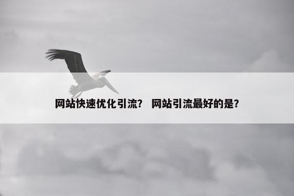 网站快速优化引流？ 网站引流最好的是？