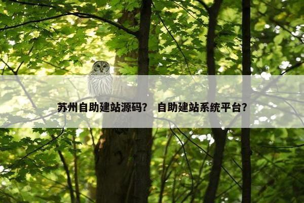 苏州自助建站源码？ 自助建站系统平台？
