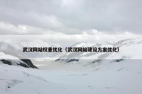 武汉网站权重优化（武汉网站建设方案优化）