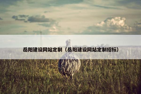 岳阳建设网站定制（岳阳建设网站定制招标）