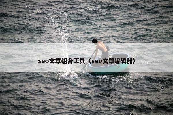 seo文章组合工具（seo文章编辑器）