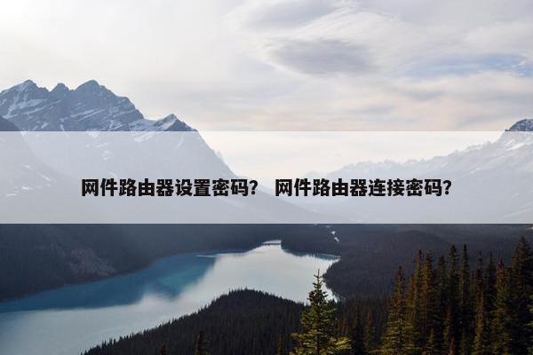 网件路由器设置密码？ 网件路由器连接密码？