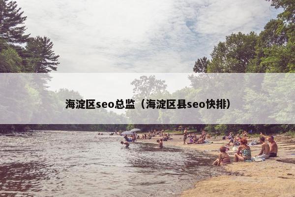 海淀区seo总监（海淀区县seo快排）