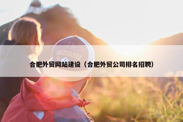合肥外贸网站建设（合肥外贸公司排名招聘）