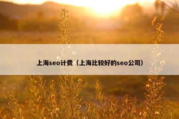 上海seo计费（上海比较好的seo公司）
