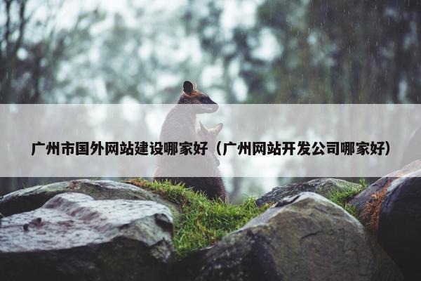 广州市国外网站建设哪家好（广州网站开发公司哪家好）