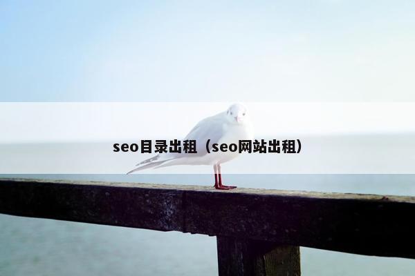 seo目录出租（seo网站出租）
