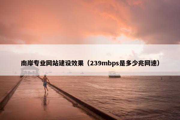 南岸专业网站建设效果（239mbps是多少兆网速）