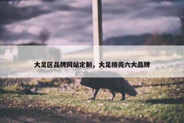 大足区品牌网站定制，大足擦亮六大品牌