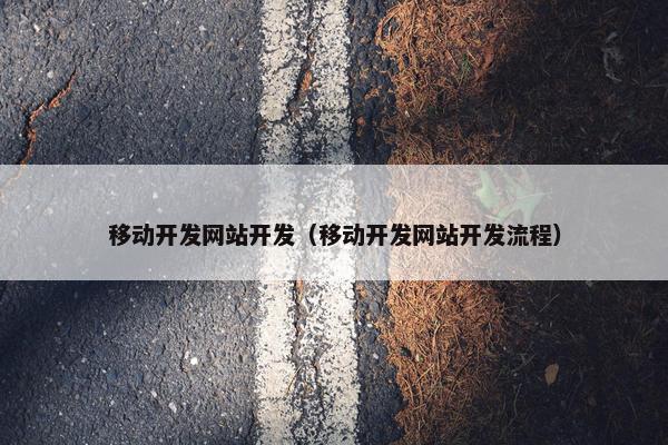 移动开发网站开发（移动开发网站开发流程）