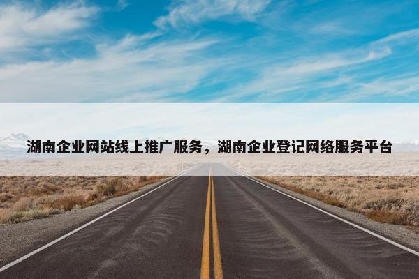 湖南企业网站线上推广服务，湖南企业登记网络服务平台