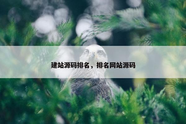 建站源码排名，排名网站源码