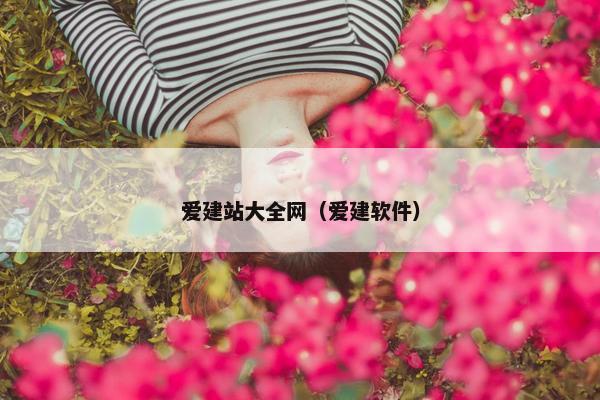 爱建站大全网（爱建软件）