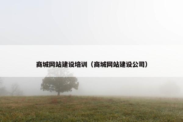 商城网站建设培训（商城网站建设公司）