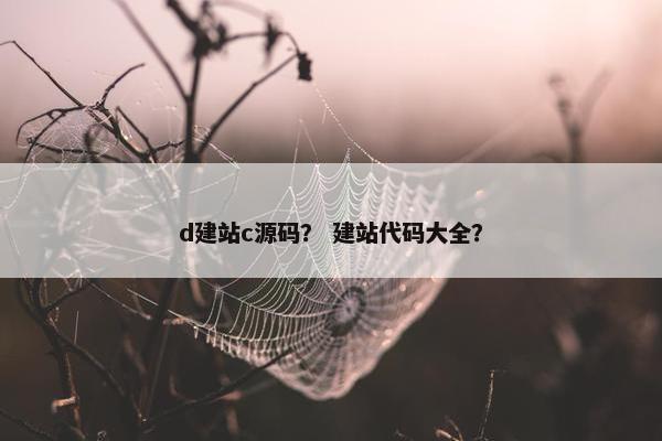 d建站c源码？ 建站代码大全？
