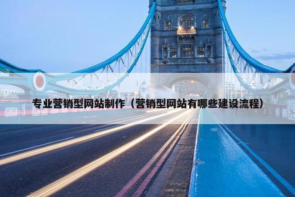 专业营销型网站制作（营销型网站有哪些建设流程）