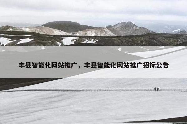 丰县智能化网站推广，丰县智能化网站推广招标公告