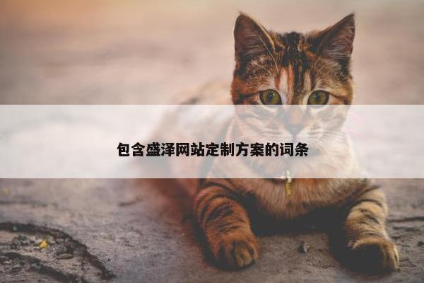 包含盛泽网站定制方案的词条