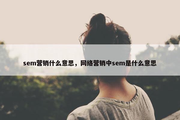 sem营销什么意思，网络营销中sem是什么意思