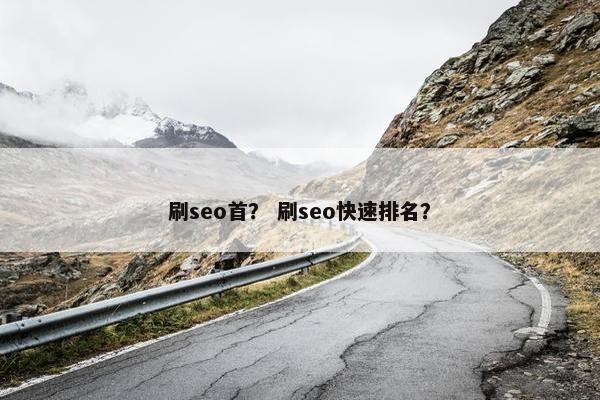 刷seo首？ 刷seo快速排名？