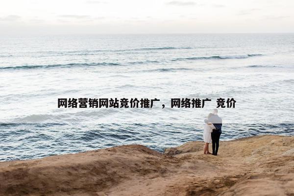 网络营销网站竞价推广，网络推广 竞价