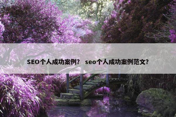 SEO个人成功案例？ seo个人成功案例范文？