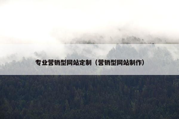 专业营销型网站定制（营销型网站制作）
