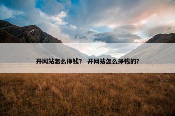 开网站怎么挣钱？ 开网站怎么挣钱的？