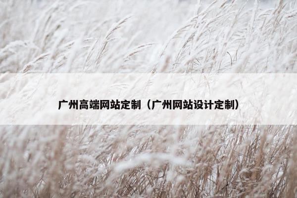 广州高端网站定制（广州网站设计定制）