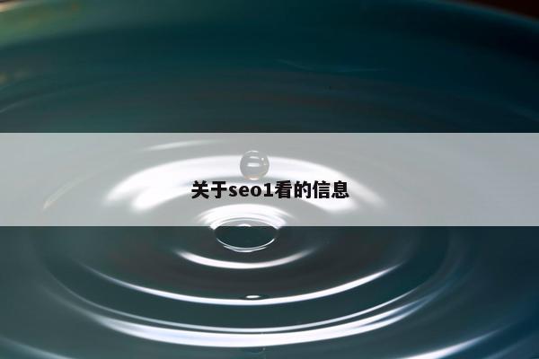 关于seo1看的信息