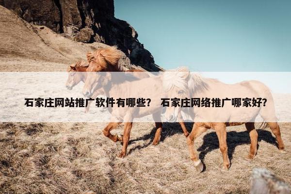 石家庄网站推广软件有哪些？ 石家庄网络推广哪家好？