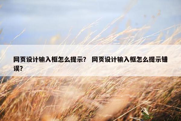 网页设计输入框怎么提示？ 网页设计输入框怎么提示错误？