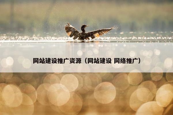 网站建设推广资源（网站建设 网络推广）