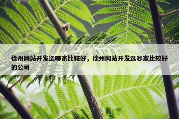 徐州网站开发选哪家比较好，徐州网站开发选哪家比较好的公司