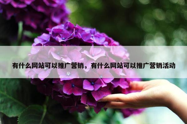 有什么网站可以推广营销，有什么网站可以推广营销活动